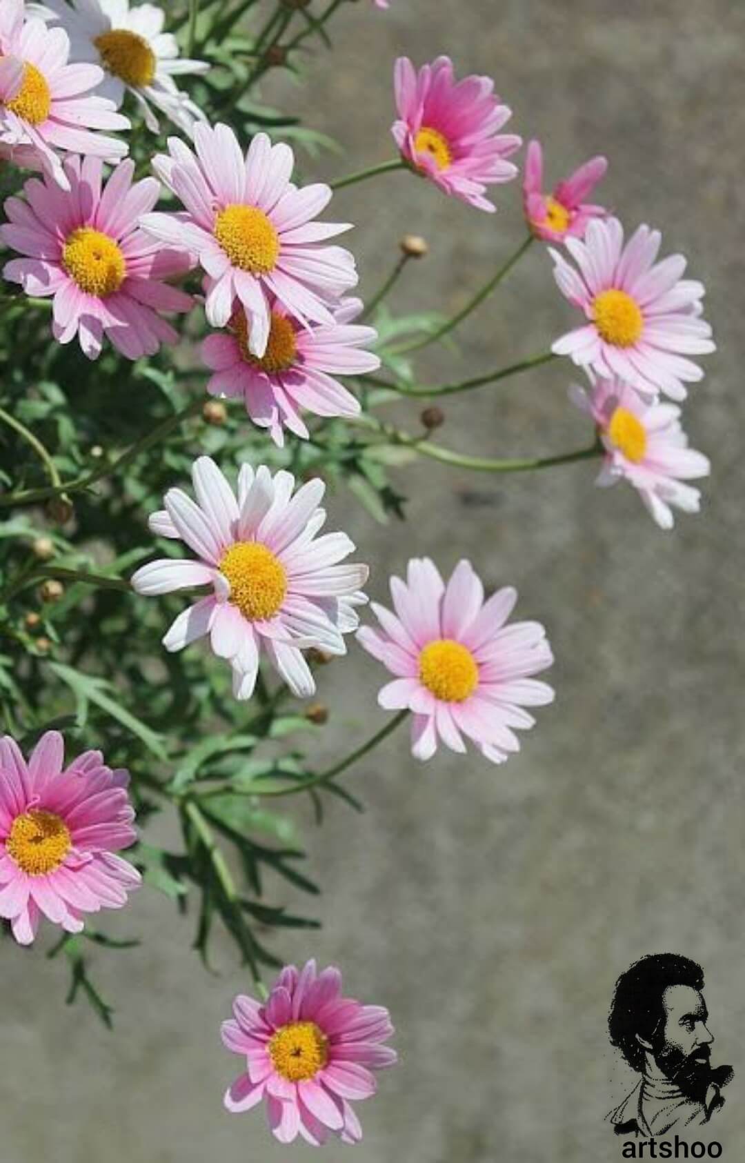 آموزش نقاشی رنگ روغن